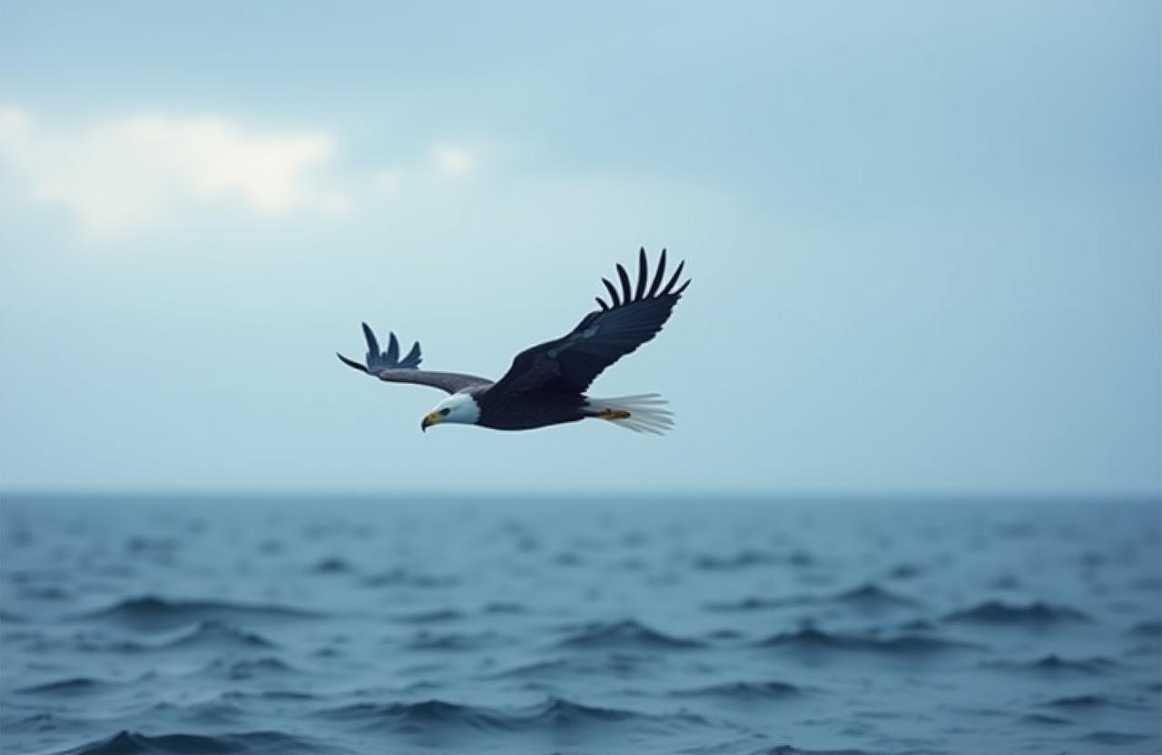 Fugleobservatør der fotograferer havfugle fra kysten